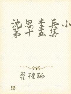 沈思李兵小说一第十五集