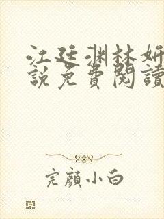 江廷渊林妍的小说免费阅读全文