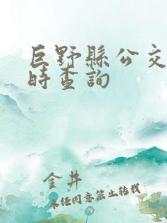 巨野县公交车实时查询