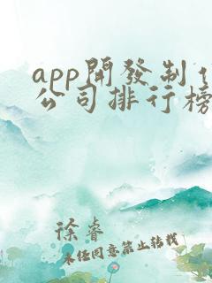 app开发制作公司排行榜