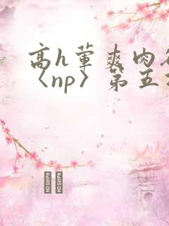 高h荤爽肉欲文〈np〉第五次