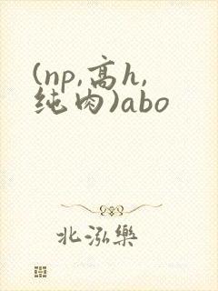 (np,高h,纯肉)abo
