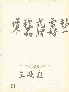 增程式电动车哪个品牌好一点