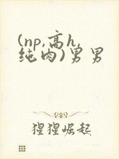 (np,高h,纯肉)男男 (np,高h,纯肉)男男