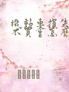 机动车损失保险不买会怎么样