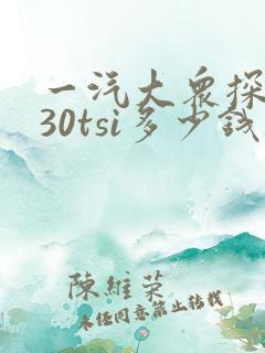 一汽大众探岳330tsi多少钱