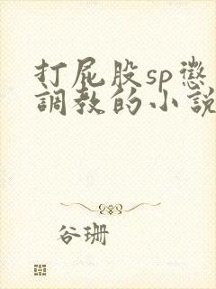 打屁股sp惩罚调教的小说
