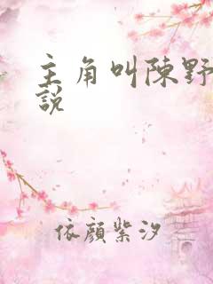 主角叫陈野的小说