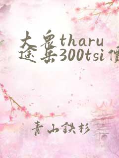 大众tharu途岳300tsi价格