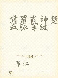 修罗武神楚枫的血脉等级