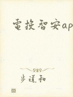 电投智安app
