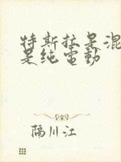 特斯拉是混动还是纯电动
