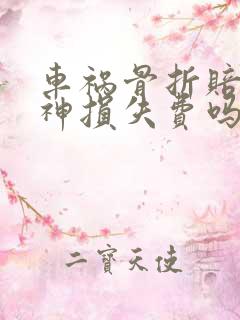 车祸骨折赔偿精神损失费吗