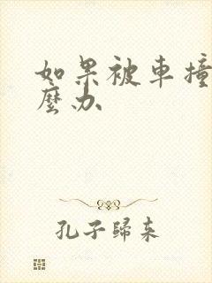 如果被车撞了怎么办