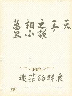 万相之王天蚕土豆小说′