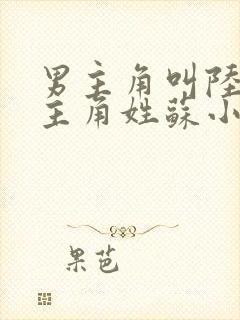 男主角叫陆离女主角姓苏小说