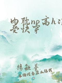 肉耽np高h浪受快穿