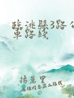 临洮县3路公交车路线