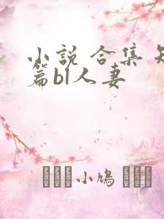 小说 合集 短篇bl人妻