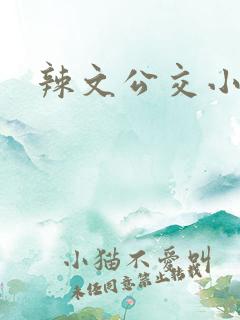 辣文公交小说