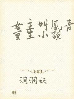 女主叫凤青鸾的重生小说