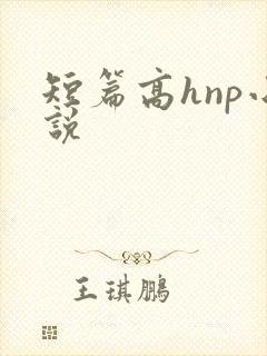 短篇高hnp小说