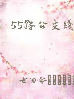 55路公交线路