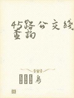 45路公交线路查询