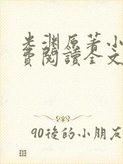 光渊原著小说免费阅读全文