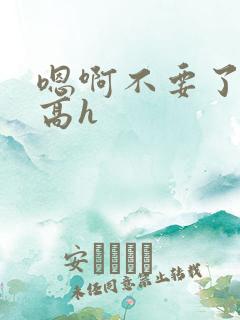 嗯啊不要了np高h