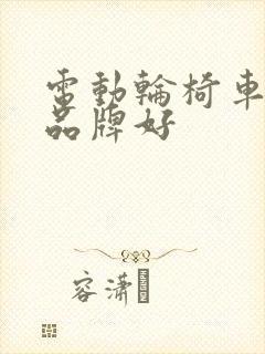 电动轮椅车什么品牌好