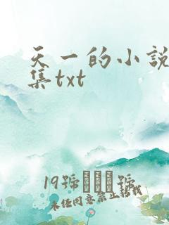天一的小说作品集txt 天一的小说作品集txt
