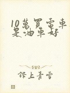 10万买电车还是油车好