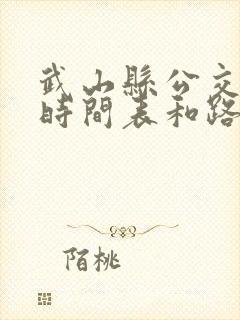 武山县公交车的时间表和路线