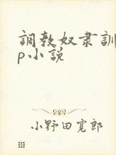 调教奴隶训诫sp小说