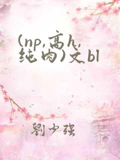 (np,高h,纯肉)文bl