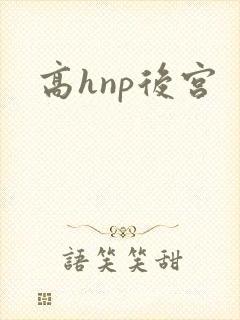 高hnp后宫