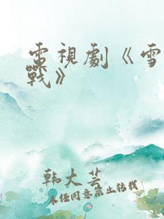 电视剧《雪豹特战》