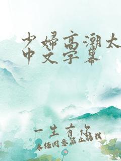 少妇高潮太爽了中文字幕
