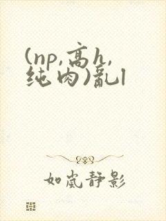 (np,高h,纯肉)乱l