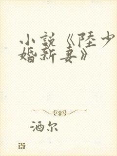 小说《陆少的暖婚新妻》