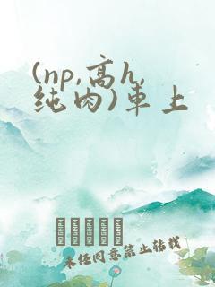 (np,高h,纯肉)车上