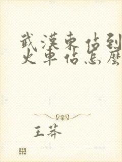 武汉东站到武昌火车站怎么坐地铁