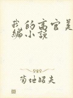 我的高官美母改编小说