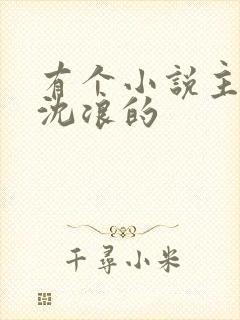 有个小说主角叫沈浪的