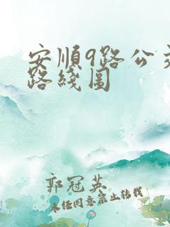 安顺9路公交车路线图