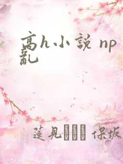 高h小说 np乱