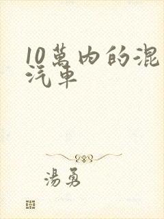 10万内的混动汽车