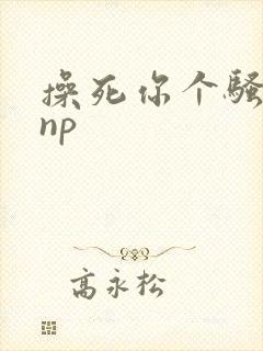 操死你个骚母狗np