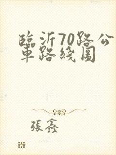 临沂70路公交车路线图